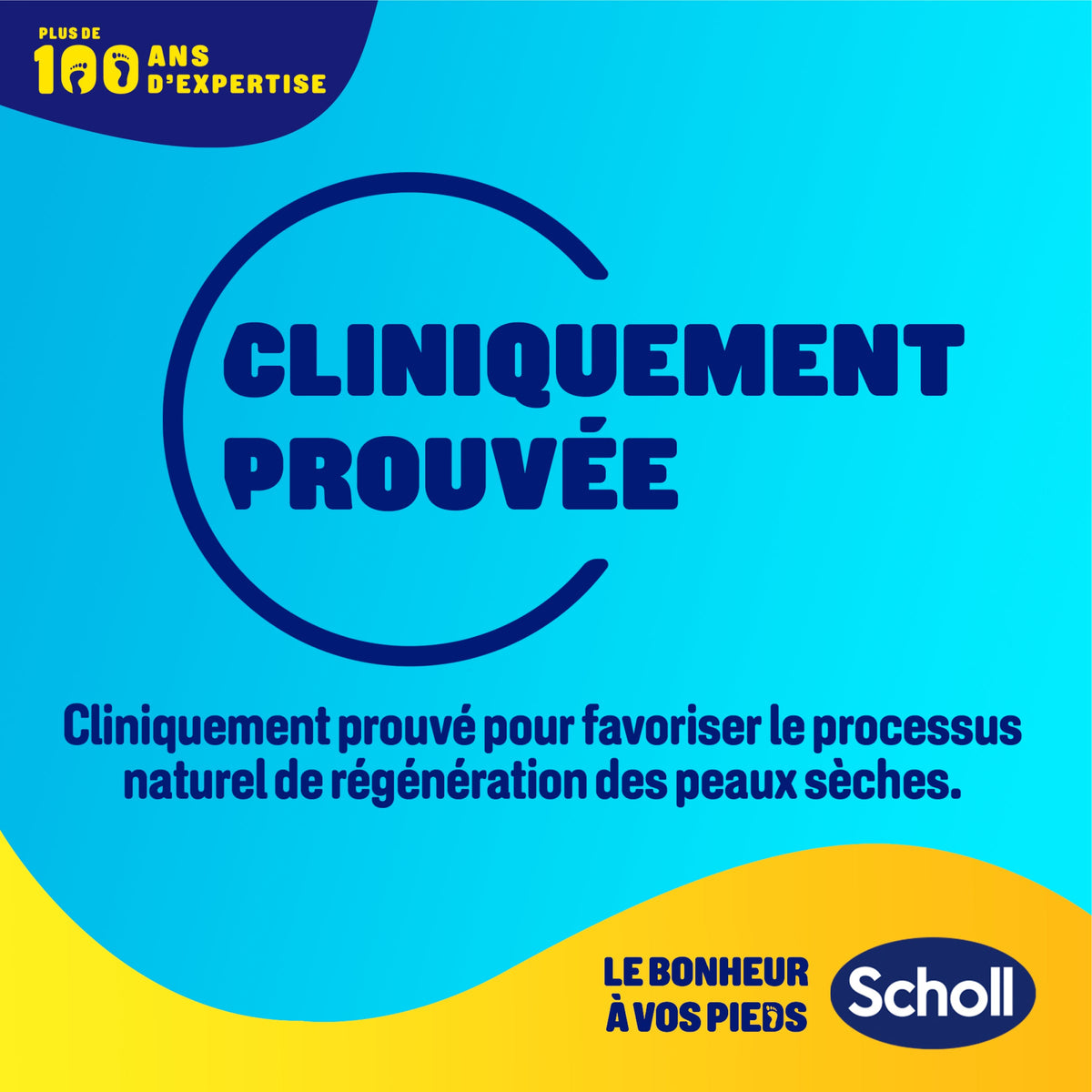 Stick Scholl contre les crevasses 70 g