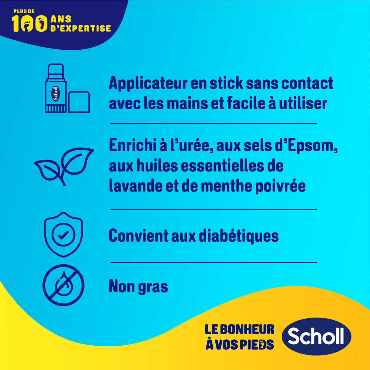 Stick Scholl contre les crevasses 70 g